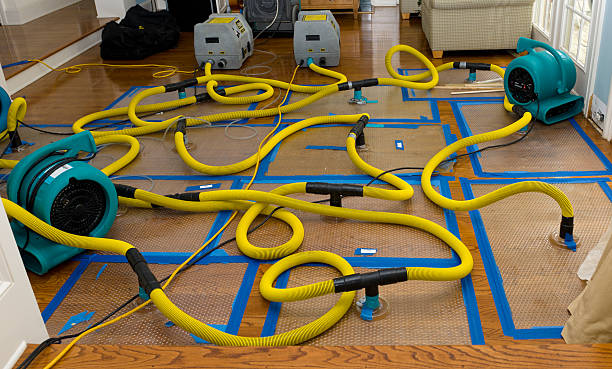 Professional Basement Flood Cleanup technician working in Wells, NV